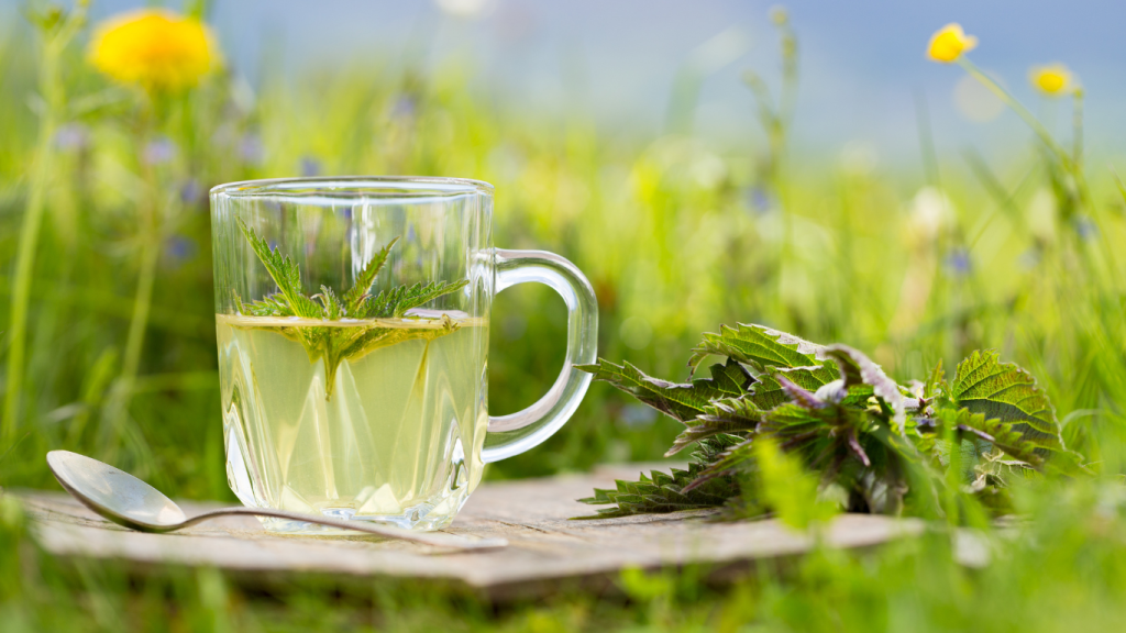 Natural Tea herb diabetes remedy risk factor