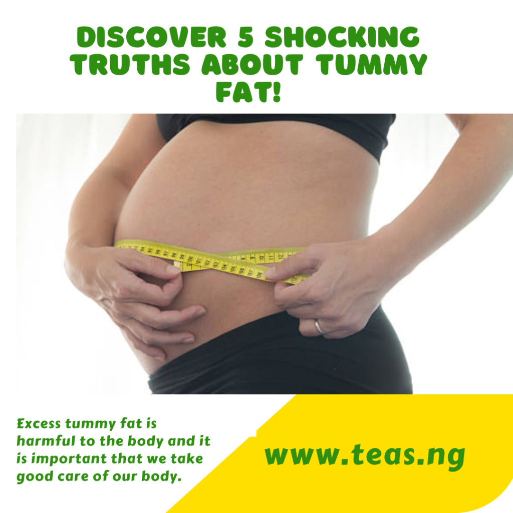 DISCOVER 5 SHOCKING TRUTHS ABOUT TUMMY FAT! cover image, tummy fat, belly fat, teas.ng