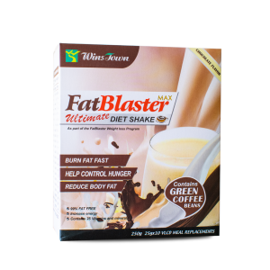 WINSTOWN FAT BLASTER DIET SHAKE CHOCOLATE FLAVOUR